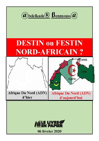 publier-un-livre.com_1562-destin-ou-festin-nord-africain