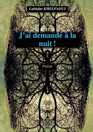 publier-un-livre.com_2601-j-ai-demande-a-la-nuit