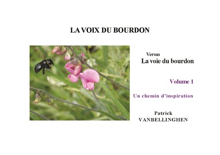 publier-un-livre.com_4045-la-voix-du-bourdon-versus-la-voie-du-bourdon-volume-1-un-chemin-d-inspiration