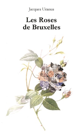 publier-un-livre.com_4168-les-roses-de-bruxelles