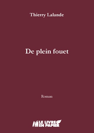 publier-un-livre.com_4408-de-plein-fouet