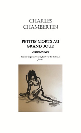 publier-un-livre.com_4470-petites-morts-au-grand-jour